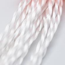 magnete di nylon di 8mm che pesca corda 65 piedi di corda di sicurezza con Carabiner 4