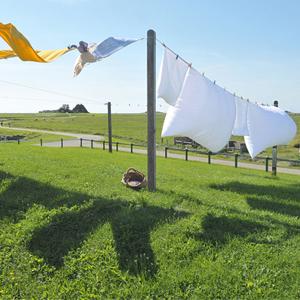 magnete di nylon di 8mm che pesca corda 65 piedi di corda di sicurezza con Carabiner 9